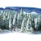 Painel Fotográfico Infantil Árvores Neve 2.2x1.5mp1729