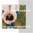 Painel Ganges Para Tv Até 60" Com Nicho Preto Fosco