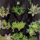 Painel Jardim Vertical, Parede Viva Metro Quadrado