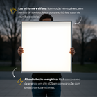 Painel Led Plafon 50w 6500k Bivolt Embutir 60x60 Quadrado Bra