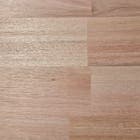 Painel de Madeira Eucalipto 18mm 30x60cm Depinus
