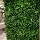 Painel Para Jardim Vertical Desidratado Natural 50x50cm