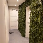 Painel Para Jardim Vertical Natural Preservado Variado