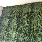 Painel Para Jardim Vertical Natural Preservado Variado