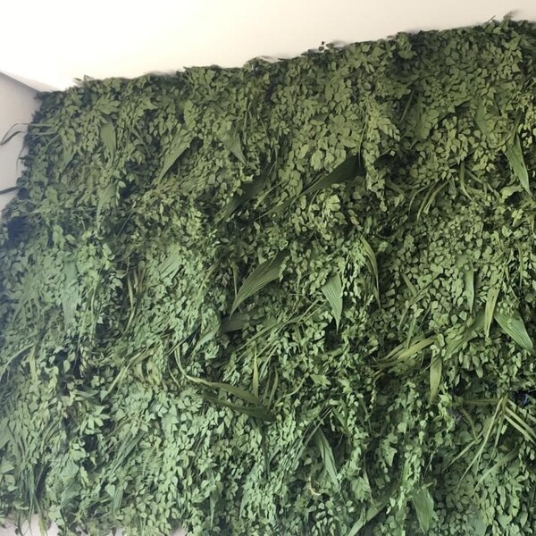 Painel Para Jardim Vertical Natural Preservado Variado