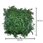 Painel Para Muro Inglês Jardim Vertical Desidratadas 50x50cm