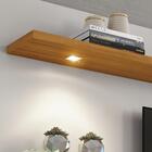 Painel Para Tv Até 60 Polegadas 1 Porta 2 Nichos Roma Notável