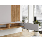 Painel Para Tv Até 65 Polegadas Búzios 2 Portas Cinamomo/off