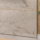 Painel Placa Piso Teto Tv 65 244x154cm 462int Mdt