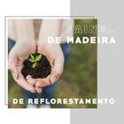 Painel Ripado Milla Nogal 230cm Carraro