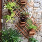 Painel Vertical Floreira Treliça 140x80cm (75x75) Bordas Aber