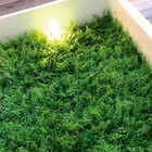 Painel Vertical, Parede Verde Amazônia Suspenso Cor: Verde M²