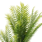 Palmeira 170cm Verde