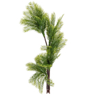 Palmeira 170cm Verde