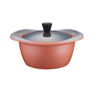 Panela De Aluminio, Revestido De Ceramica De 24cm Salmao