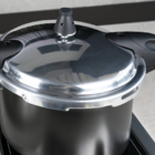 Panela De Pressão 22 Cm 5 4 L Revestimento Cerâmico Fundo De