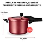 Panela De Pressão Antiaderente Com Visor 4.5 L Mta Cereja