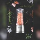 Panela De Pressão Elétrica Digital Epp60di 220v Eos Com Moedo