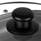 Panela Eletrica Multifuncional Cadence Pan610 Rouge 220v