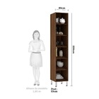 Paneleiro Simples 40cm 2 Portas Jade Luciane Móveis - Nogueir