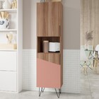 Paneleiros 2 Portas 1 Nicho Castanho/ades Coral/metal Preto B