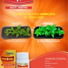 Pankada 60ml - Mata Insetos Barata Formga Cupim Pulgão Colcho