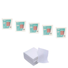 Pano De Papel De Limpeza V-wipe 70s 30x29cm 50 Folhas Kit 5