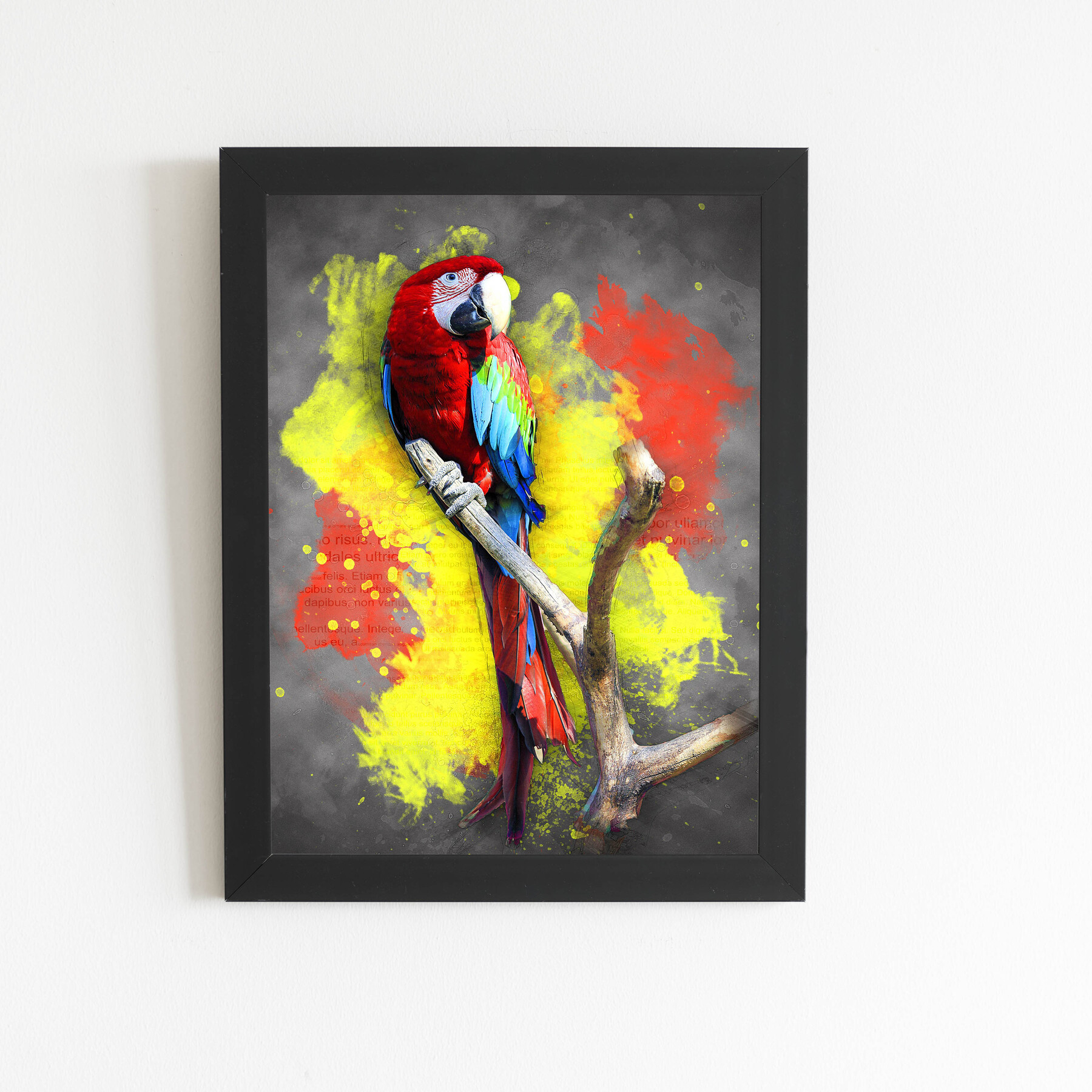 Papagaio Animais Foto Arte Quadro Moldura Preta 60x40cm | Leroy Merlin