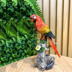 Papagaio De Resina Decorativo 22x11cm