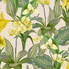 Papel De Parede  Coleção Liege Flores – 24082