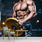 Papel De Parede Academia Peso Crossfit Sala Adesivo - 395pcm