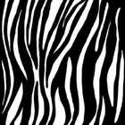 Papel De Parede Adesivo Animal Zebra 5196722835 0,48x3,00m