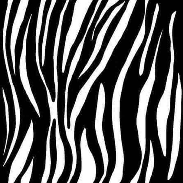 Papel De Parede Adesivo Animal Zebra 5196722835 0,48x3,00m