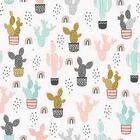 Papel De Parede Adesivo Cactos E Arco-iris N05037