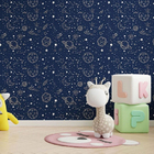 Papel De Parede Adesivo Céu Noturno N013194