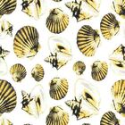 Papel De Parede Adesivo Conchas Amarelo N07047