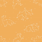 Papel De Parede Adesivo Constelação Dinossauro Laranja 15m