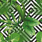 Papel De Parede Adesivo Floral Com Folhas Tropicais 10mx50cm