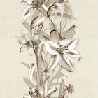 Papel De Parede Adesivo Floral N011055