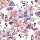 Papel De Parede Adesivo Floral Orquídeas N015128 0,58x3,00m