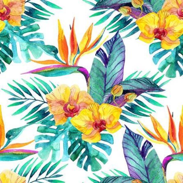 Papel De Parede Adesivo Floral Tropical 308742455 0,58x3,00m
