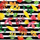 Papel De Parede Adesivo Folha N02024 0,48x2,5m