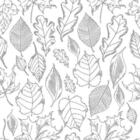 Papel De Parede Adesivo Folha N02211