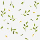 Papel De Parede Adesivo Folha N02270 0,48x2,5m