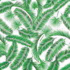 Papel De Parede Adesivo - Folhagem - 052ppn