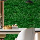 Papel De Parede Adesivo Folhagem Hera Verde Lavável 3m