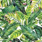 Papel De Parede Adesivo Folhagem Tropical N06003