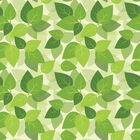 Papel De Parede Adesivo - Folhas - 023ppn