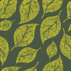 Papel De Parede Adesivo - Folhas - 076ppn