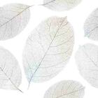 Papel De Parede Adesivo Folhas N010059